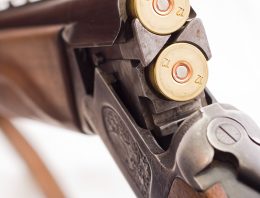 The Most Feared Weapon in World War I